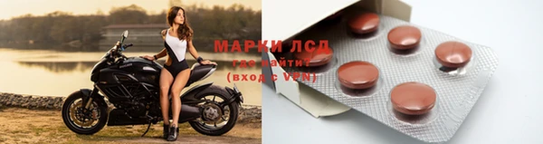 стаф Абинск