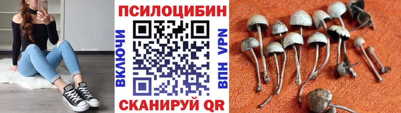 закладка mega ссылка Галлюциногенные грибы Magic Shrooms Миасс