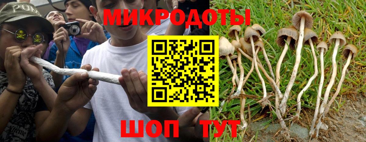 Галлюциногенные грибы Cubensis Миасс