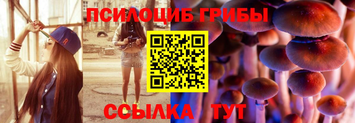 Галлюциногенные грибы прущие грибы  Вход с VPN  Миасс  Псилоцибиновые грибы MAGIC MUSHROOMS 