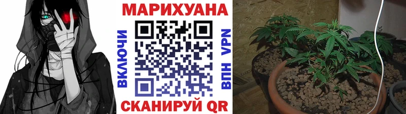 где купить наркотик  Миасс  Бошки Шишки конопля 